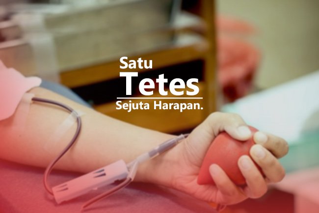 donor darah